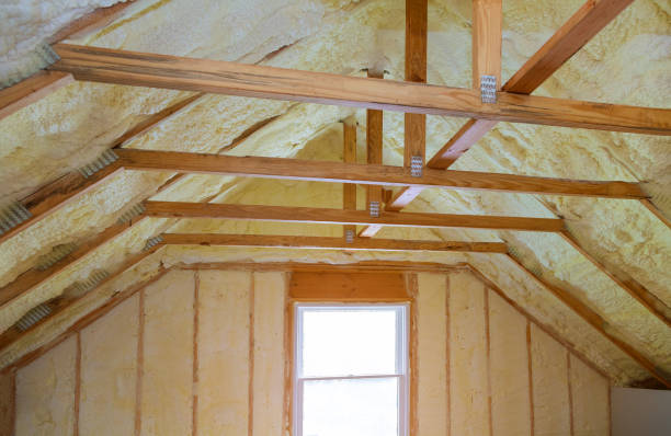 Best Crawl Space Insulation  in Blacksburg, SC